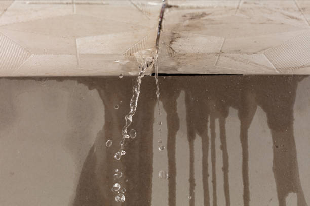 Professional Burst Pipe Cleanup technician working in Livermore, IA